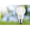 Paulmann 29221 LED Energetická třída (EEK2021) A (A - G) E27 5 W neutrální bílá (Ø x v) 60 mm x 106 mm 1 ks