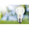 Paulmann 29219 LED Energetická třída (EEK2021) A (A - G) E27 5 W teplá bílá (Ø x v) 60 mm x 106 mm 1 ks