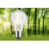 Paulmann 29219 LED Energetická třída (EEK2021) A (A - G) E27 5 W teplá bílá (Ø x v) 60 mm x 106 mm 1 ks