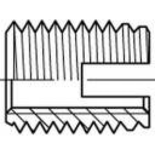 Alstertaler Schrauben & Präzisionsteile 159841X závitové vložky M20 27 mm 88302 ocel galvanizováno zinkem 10 ks