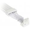 Kolink UR-12-V2x6-ARGB napájecí kabel bílá, transparentní, RGB 70 cm