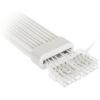 Kolink UR-2PCIE-ARG napájecí kabel bílá, transparentní, RGB 31 cm