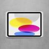Displine Dame Wall 2.0 držák tabletu na zeď Apple iPad Pro 13 (2024) 33,0 cm (13)