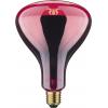 Paulmann infračervená žárovka E27 250 W (Ø x d) 125 mm x 173 mm 1 ks