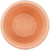 Siena Garden AMALIA 47-30-01-GA Nádoba na rostliny polyetylén terakota