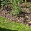 Siena Garden WSH1075 zahradní hadice 7.5 m 7.5 m zelená