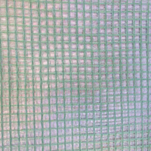 Siena Garden P37721 Mřížková fólie zelená, transparentní 2 m