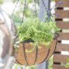 Siena Garden Wrought J58085 Závěsný košík ocel, Kokos černá, přírodní