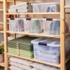 Siena HOME úložný box Anzio 32 l (š x v x h) 51 x 38.5 x 23 cm 1 ks
