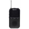 Denver DAH-126MK2 111111300020 kapesní rádio, DAB, FM, černá