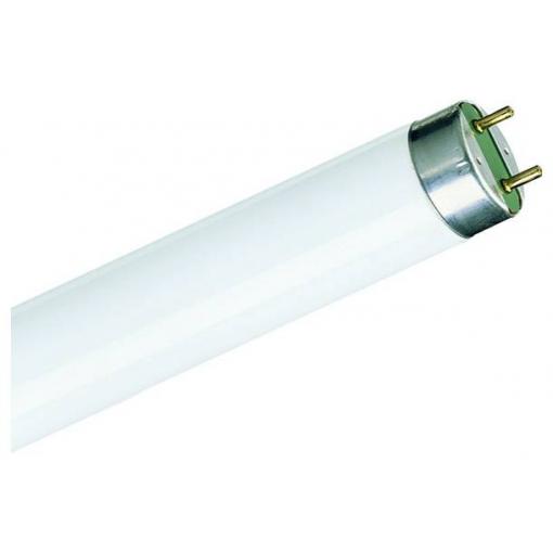 Philips zářivka Energetická třída (EEK2021): G (A - G) G13 36.6 W neutrální bílá tyčový tvar (Ø x d) 28 mm x 984.2 mm 1 ks