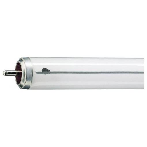 Philips zářivka Energetická třída (EEK2021): G (A - G) zásuvková patice 40 W neutrální bílá tyčový tvar (Ø x d) 40.5 mm x 1220.5 mm 1 ks