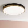 Brilliant G80846/76 Baarlo LED stropní svítidlo LED pevně vestavěné LED 36 W černá (matná), dřevo