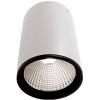Deko Light 348057 Luna Stropní svítidlo LED Energetická třída (EEK2021): G (A - G) 20.5 W bílá