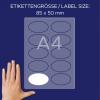 Avery-Zweckform L4882-20 štítek se jménem Kennzeichnungsetiketten (š x v) 85 mm x 50 mm 200 ks