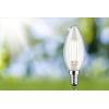 Paulmann 29201 LED Energetická třída (EEK2021) A (A - G) E14 svíčkový tvar 4 W teplá bílá (Ø x v) 35 mm x 101 mm 1 ks