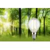 Paulmann 29202 LED Energetická třída (EEK2021) A (A - G) E14 kapkový tvar 4 W teplá bílá (Ø x v) 45 mm x 78 mm 1 ks