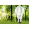 Paulmann 29254 LED Energetická třída (EEK2021) B (A - G) E27 klasická žárovka 4.3 W neutrální bílá (Ø x v) 60 mm x 105 mm 1 ks