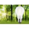 Paulmann 29255 LED Energetická třída (EEK2021) B (A - G) E27 klasická žárovka 2.5 W teplá bílá (Ø x v) 60 mm x 105 mm 1 ks