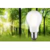 Paulmann 29257 LED Energetická třída (EEK2021) B (A - G) E27 klasická žárovka 5.7 W teplá bílá (Ø x v) 60 mm x 105 mm 1 ks