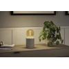 Paulmann 29246 LED E27 kulatý tvar 4.2 W jantar (Ø x v) 95 mm x 135 mm 1 ks