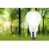 Paulmann 29258 LED Energetická třída (EEK2021) B (A - G) E27 klasická žárovka 8.2 W teplá bílá (Ø x v) 60 mm x 105 mm 1 ks