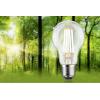 Paulmann 29251 LED Energetická třída (EEK2021) B (A - G) E27 klasická žárovka 4.3 W teplá bílá (Ø x v) 60 mm x 105 mm 1 ks