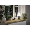 Paulmann Ilanga 94611 solární stolní lampa LED 2.1 W antracitová