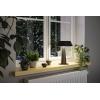Paulmann Soala 94612 solární stolní lampa LED 2.1 W antracitová