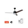 Svítidlo stropní s ventilátorem IMMAX NEO 07285L Variable WiFi Tuya