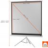 Celexon 1090262 plátno na stativu 133 x 133 cm Formát obrazu: 1:1
