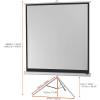 Celexon 1090262 plátno na stativu 133 x 133 cm Formát obrazu: 1:1