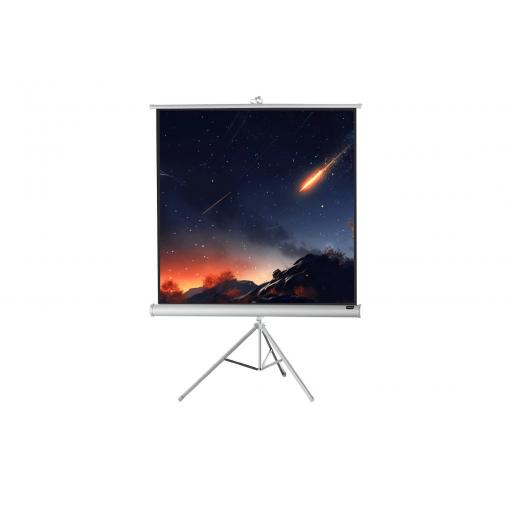 Celexon 1090262 plátno na stativu 133 x 133 cm Formát obrazu: 1:1