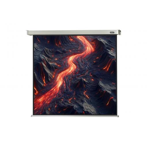 Celexon 1090089 elektrické projekční plátno 215 x 215 cm Formát obrazu: 1:1