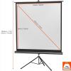 Celexon 1090018 plátno na stativu 244 x 244 cm Formát obrazu: 1:1