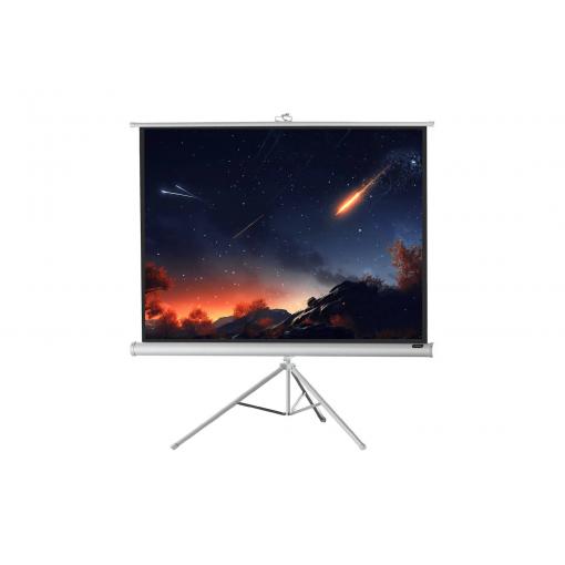 Celexon 1090275 plátno na stativu 244 x 183 cm Formát obrazu: 4:3