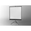 Celexon 1090014 plátno na stativu 133 x 133 cm Formát obrazu: 1:1