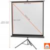 Celexon 1090015 plátno na stativu 158 x 158 cm Formát obrazu: 1:1