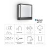 Steinel LED AUSSENLEUCHTE L 40 C ANT 085230 venkovní nástěnné LED osvětlení LED žádná 12.9 W antracitově šedá