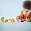 10442 LEGO® DUPLO® Rodiny volně žijících zvířat: Pinguine a Löwen