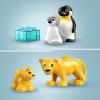 10442 LEGO® DUPLO® Rodiny volně žijících zvířat: Pinguine a Löwen