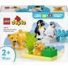 10442 LEGO® DUPLO® Rodiny volně žijících zvířat: Pinguine a Löwen