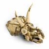 76969 LEGO® JURASSIC WORLD™ Dinosauři: Lebka triceratops