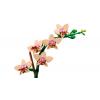 10343 LEGO® ICONS™ Mini orchidee