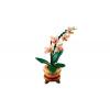 10343 LEGO® ICONS™ Mini orchidee