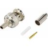 TRU COMPONENTS TC-12885928 BNC konektor zástrčka, rovná 50 Ω 1 ks