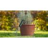 Bosch Home and Garden 06008B5500 ruční kultivátor Pracovní šířka 71 mm
