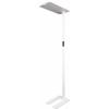 Renkforce RF-6410432 LED stojací lampa LED Energetická třída (EEK2021): F (A - G) šedostříbrná