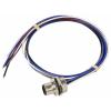 TRU COMPONENTS Vestavná zástrčka pro čidlo/aktuátor, TC-12833036, piny: 5, 0.5 m, 1 ks