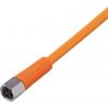 ifm Electronic EVT124 Přívodní kabel, EVT124, piny: 3, 10 m, 1 ks